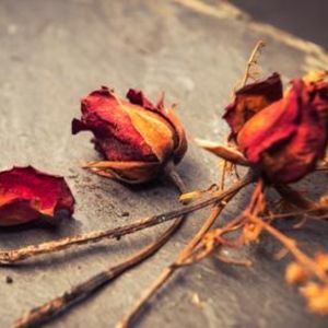 Meet your Posher, Theodora